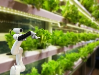 Digitalisation and Farming 4.0