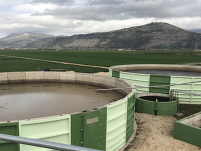 Networking a biomass plant