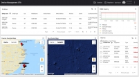Remote IoT device management