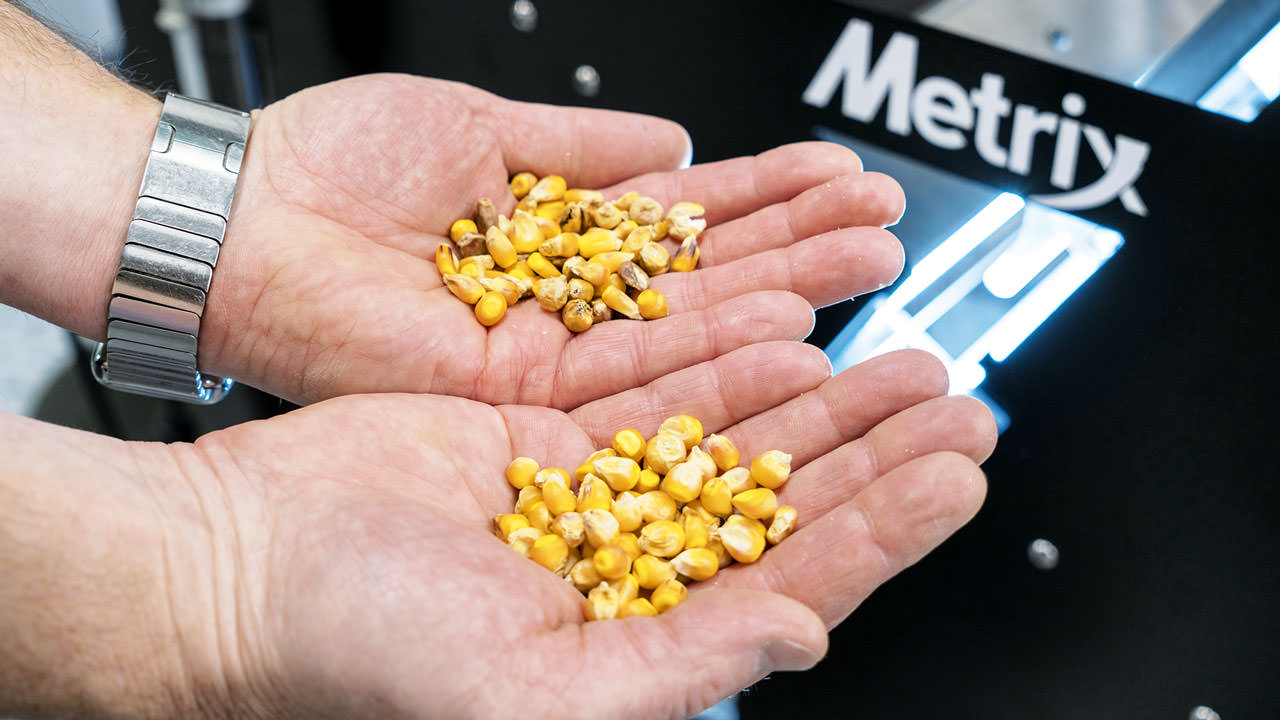 The top seed companies in the U.S. divide acceptable seeds from those that do not meet color or size standards using software and hardware solutions from VMek.