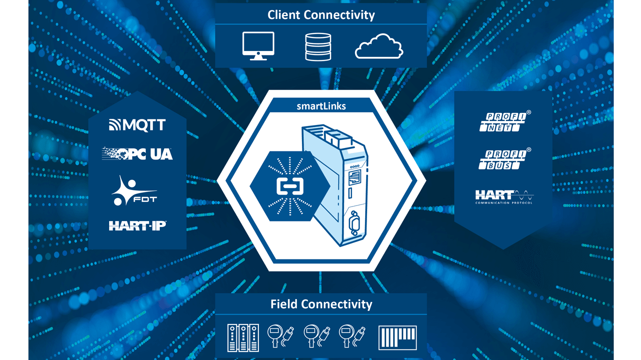 Plant asset management solution