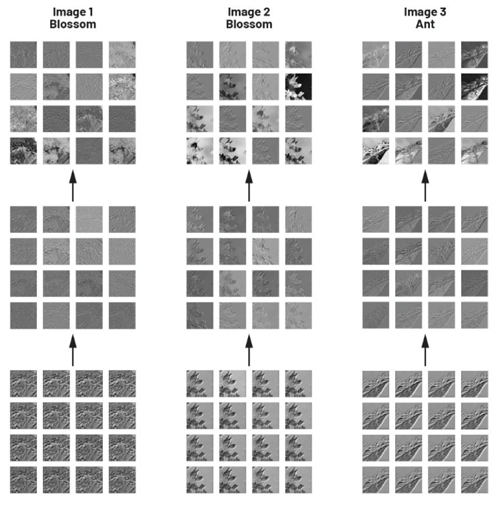 Figure 4. Feature maps for a CNN.