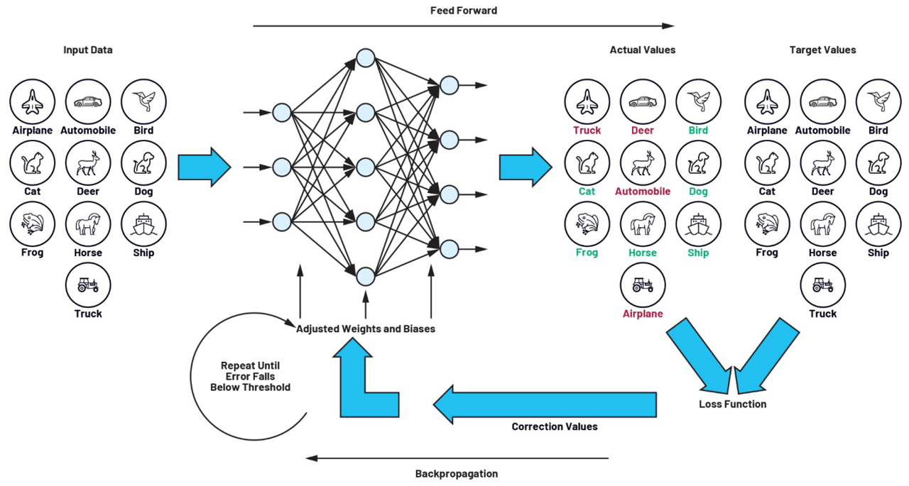 Figure 2. A training loop consisting of feedforward and backpropagation.